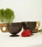 COCONUT TEA CUPS (WOODEN HANDLE)-3