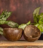SMALL COCONUT GLOSSY BOWL-2