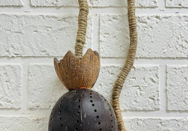 COCONUT LAMP