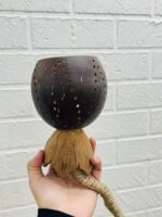 COCONUT LAMP 4