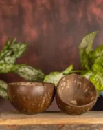 COCONUTSHELL POLISHED 2