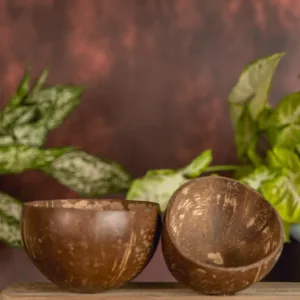 COCONUT SHELL POLISHED