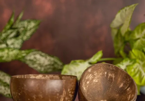 COCONUT SHELL POLISHED
