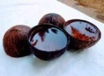 COCONUTSHELL POLISHED 5