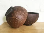 LARGE STANDY GLOSSY BOWL 1
